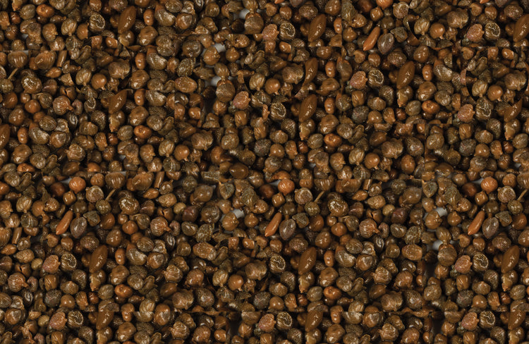 Eatcapers.com - Capers From Italy – A&J Savittieri